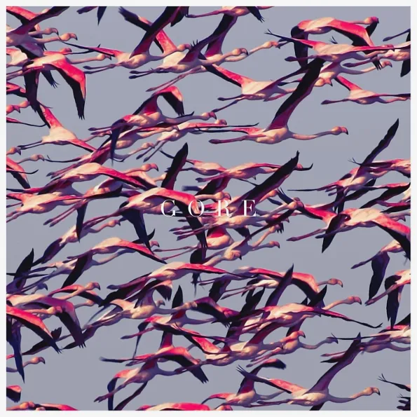 Deftones - Gore (2LP), 0093624926498_1
