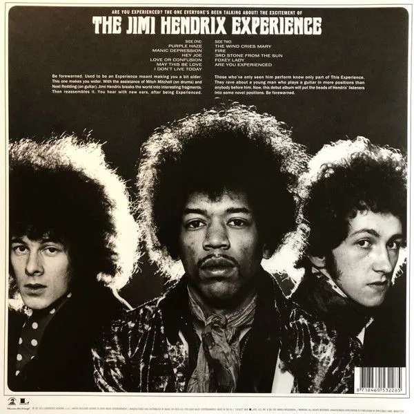 The Jimi Hendrix Experience - Are You Experienced (2LP, Black)_1