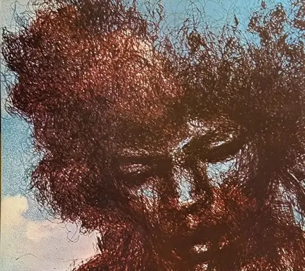 Jimi Hendrix The Cry Of Love(LP, Album, Stereo, Santa Maria Pressing), 8012622934603