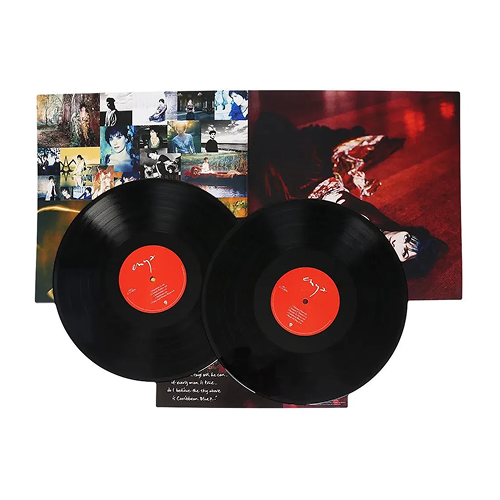 ENYA - The Very Best Of Enya, 2009/2019 (2LP, Rare), 0825646467648_2