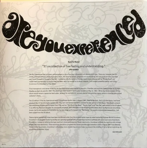 The Jimi Hendrix Experience - Are You Experienced (2LP, Black)_2