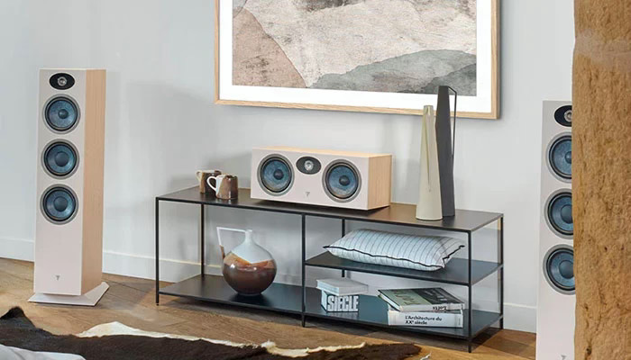 Focal Theva №2_4.png