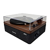 Phaze Audio Adelle Walnut_6