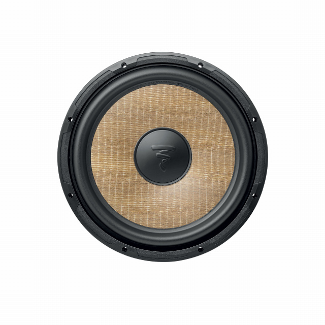 Focal P30FSE_0