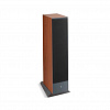 Focal Theva №3 Dark Wood_1