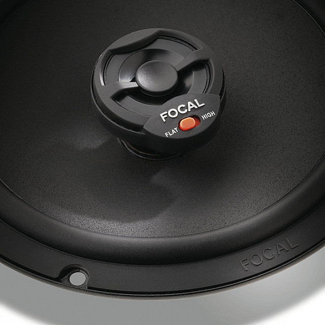 Focal ICU165_2