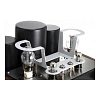 Mastersound Compact 300B Black Wood_1