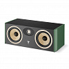 Focal Aria Evo X Center Green Moss_0
