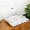 Phaze Audio Diana MK2 White_6