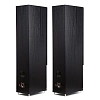 Radiotehnika Gamma 3.02 Black Ash_2