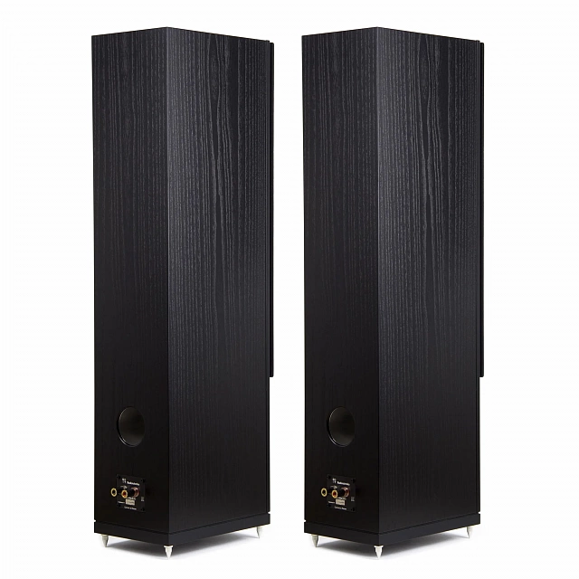 Radiotehnika Gamma 3.02 Black Ash_2