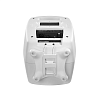 Genelec G Five AWM_2