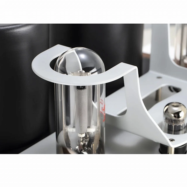 Mastersound 845 Monoblock Black Wood_5