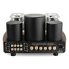 Mastersound Evo 300B Black Wood_2