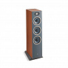 Focal Theva №3 Dark Wood_2