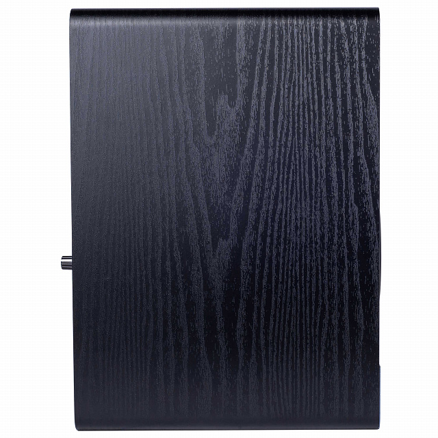 Radiotehnika S-20M Black Ash_2