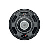 Focal SUB12_6