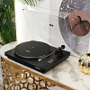 Phaze Audio Diana MK2 Black_4