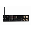 Premiera MINI AMP L (BK)_2