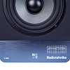 Radiotehnika S-20M Black Ash_3