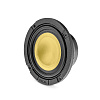 Focal 3 KM_1