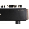 Mastersound 845 Monoblock Black Wood_3