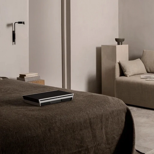 Bang & Olufsen Beosound Level Natural Alu/Dark Grey_4