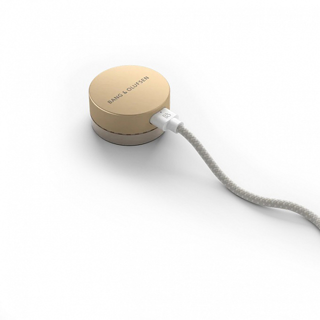 Bang & Olufsen Beosound Level Gold Tone Alu/Light Oak_5