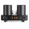 Mastersound 845 Monoblock Black Wood_2