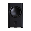 Perlisten Audio R212s_1