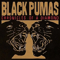 Black Pumas - Chronicles Of A Diamond (Clear Vinyl LP), 5400863146160