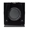 REL Carbon Special Black Label_1