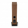 Focal Theva №2 Dark Wood_3