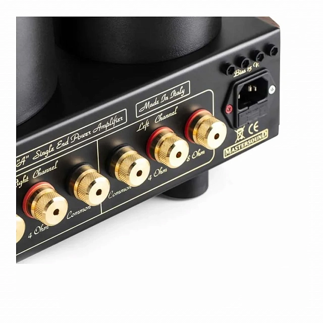Mastersound Evo 300B Black Wood_1