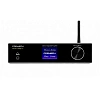 Premiera MINI AMP L (SV)_0