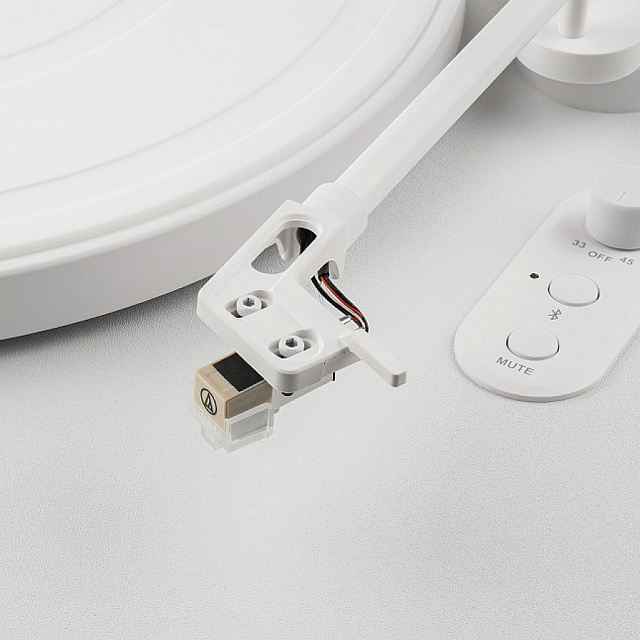 Phaze Audio Diana Siberian White_4