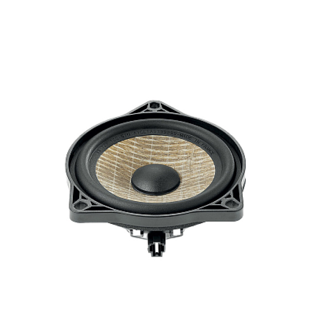 Focal IS T3Y100_2