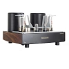 Mastersound 845 Monoblock Black Wood_0
