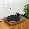 Phaze Audio Diana MK2 Walnut_6