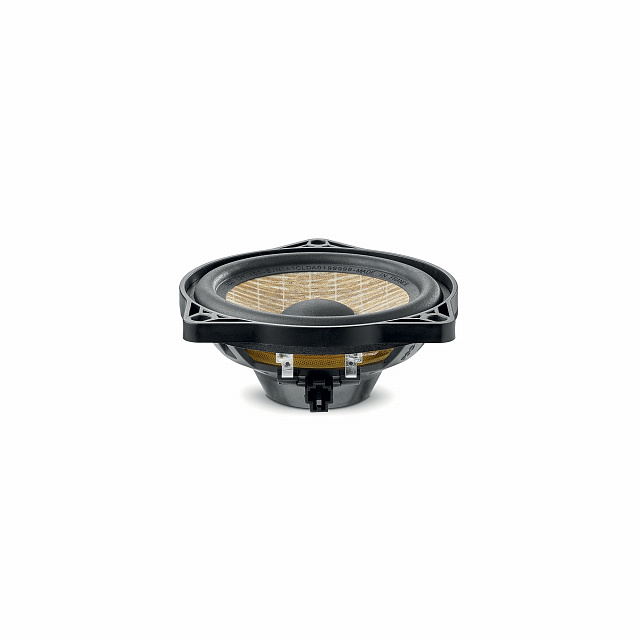 Focal ICC T3Y 100_1