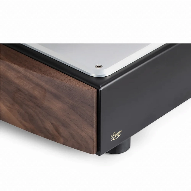 Mastersound 845 Monoblock Black Wood_4