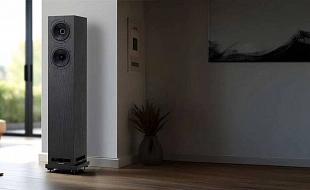 Акустика Fyne Audio F55E: доступный звук от точечного источника