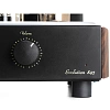 Mastersound Evolution 845 Black Wood_3