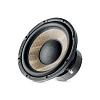 Focal P25FE_1