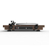 Premiera ULTRA X Walnut_3