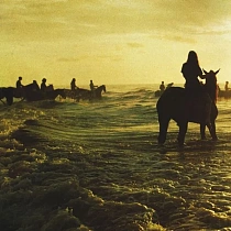 Foals - Holy Fire (Black Vinyl LP), 0825646522248