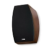 Canton AR 8 Walnut High Gloss_1
