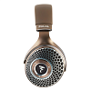 Focal Clear MG_3
