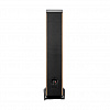 Focal Aria Evo X N°3 Prime Walnut_4
