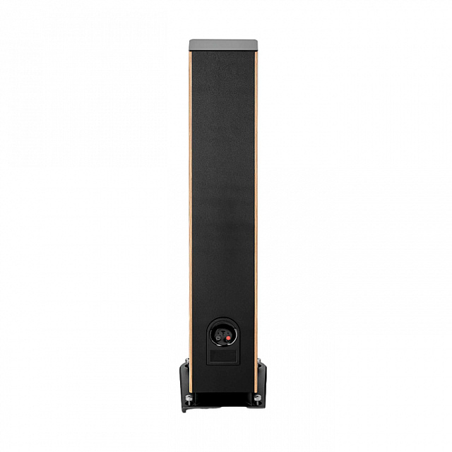 Focal Aria Evo X N°3 Prime Walnut_4